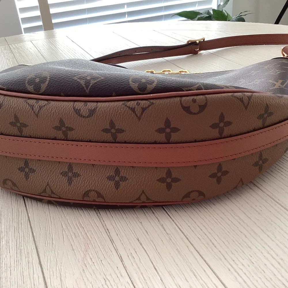 Louis Vuitton Monogram Canvas Hobo with Gold Chain and Brown Leather Trim